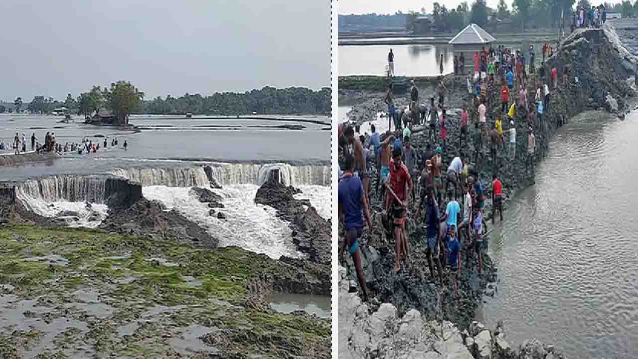 সাতক্ষীরা আশাশুনিতে নদী ভাঙ্গন